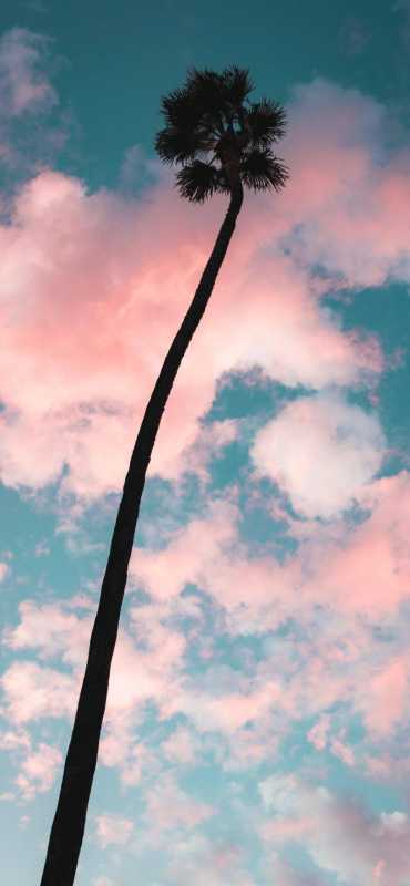 壁纸｜小众又治愈的动漫壁纸