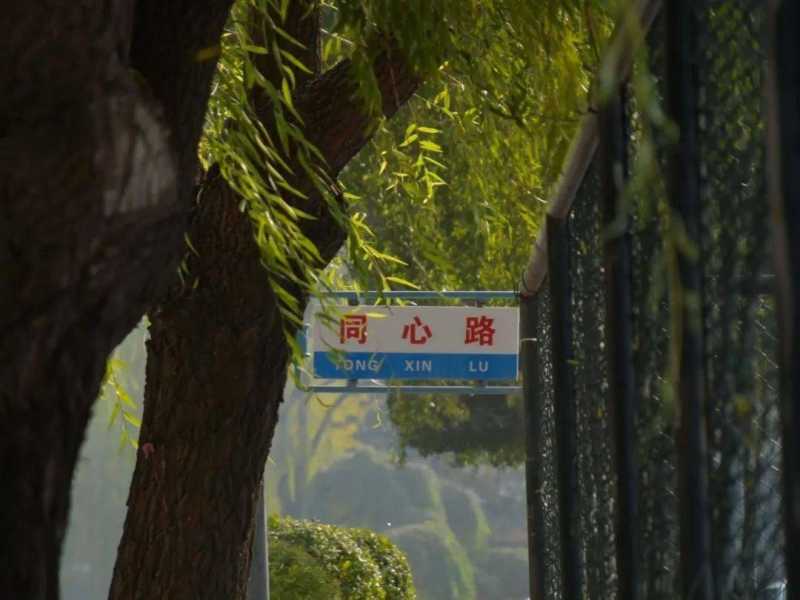 秋日壁纸 | 来自东师的秋季色卡