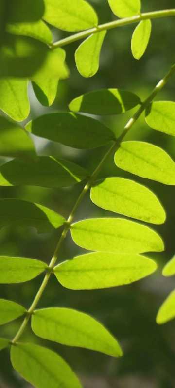 秋日壁纸 |<img src=