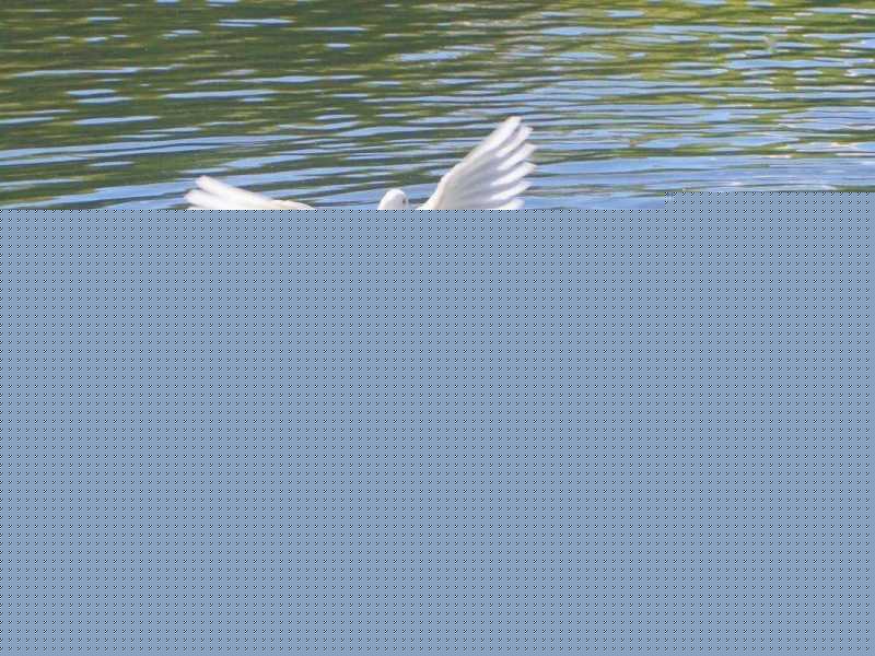 秋日壁纸 |<img src=