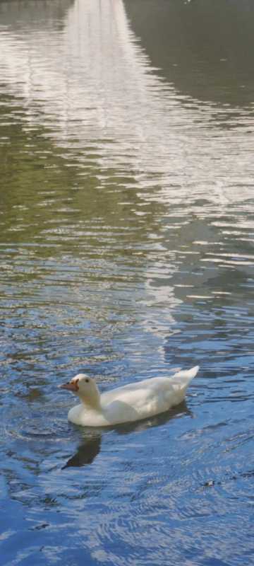 秋日壁纸 |<img src=