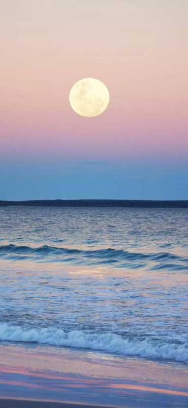 全面屏壁纸 |<img src=