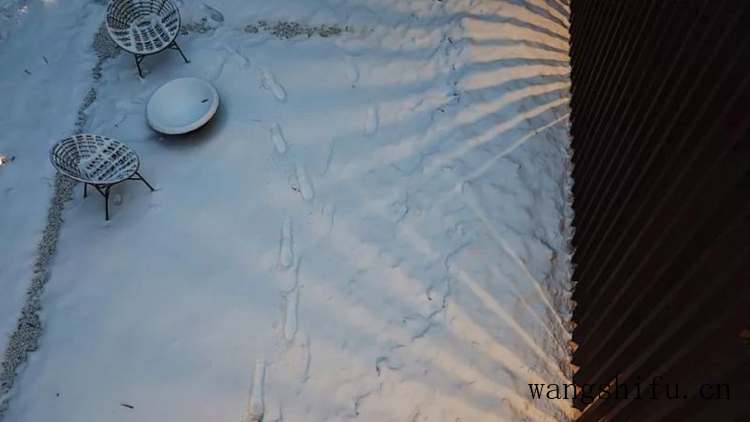 tcl冰箱是哪个厂代工的