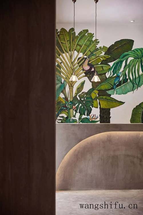 黄杨树和红继木哪个贵(黄杨木和红木哪个好) 黄杨树和红继木哪个贵(黄杨木和红木哪个好)