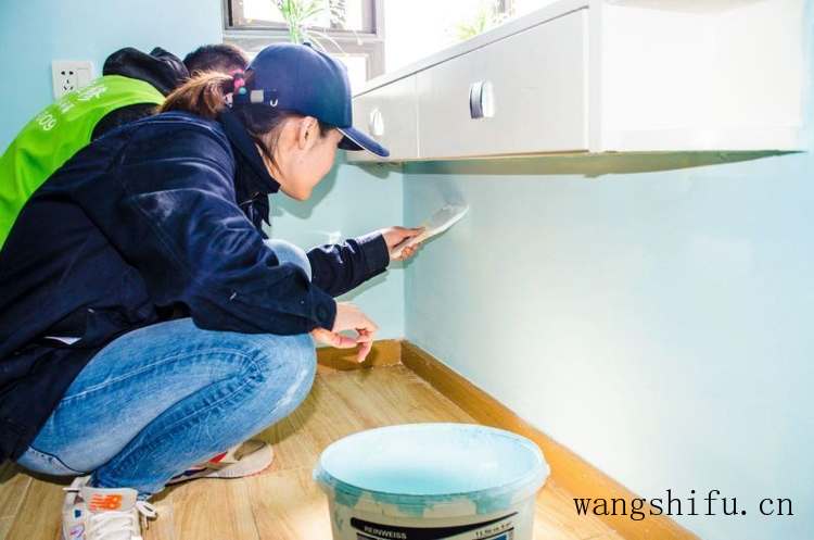 发财王（发财树的养殖方法和浇水）