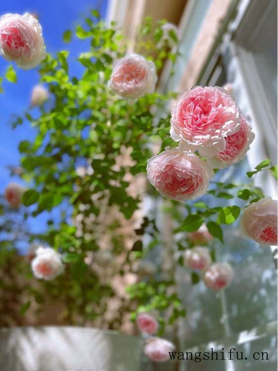 空调按在卧室哪个位置示意图（空调按在卧室的什么位置比较好）