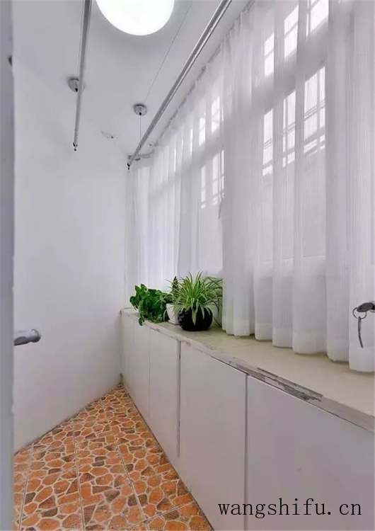 贵妇人犬(贵妇人犬图片头像) 贵妇人犬(贵妇人犬图片头像)