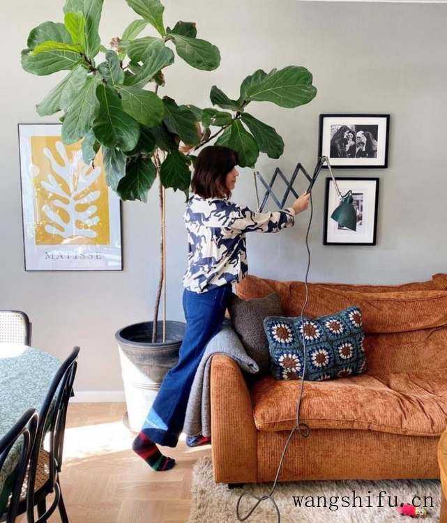 瑞典女主的老房改造，只有旧家具和绿植装饰，网友：真的服了 旧房翻新 第4张 瑞典女主的老房改造，只有旧家具和绿植装饰，网友：真的服了 旧房翻新 粉刷匠第4张