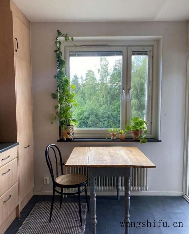 瑞典女主的老房改造，只有旧家具和绿植装饰，网友：真的服了 旧房翻新 第11张 瑞典女主的老房改造，只有旧家具和绿植装饰，网友：真的服了 旧房翻新 粉刷匠第11张