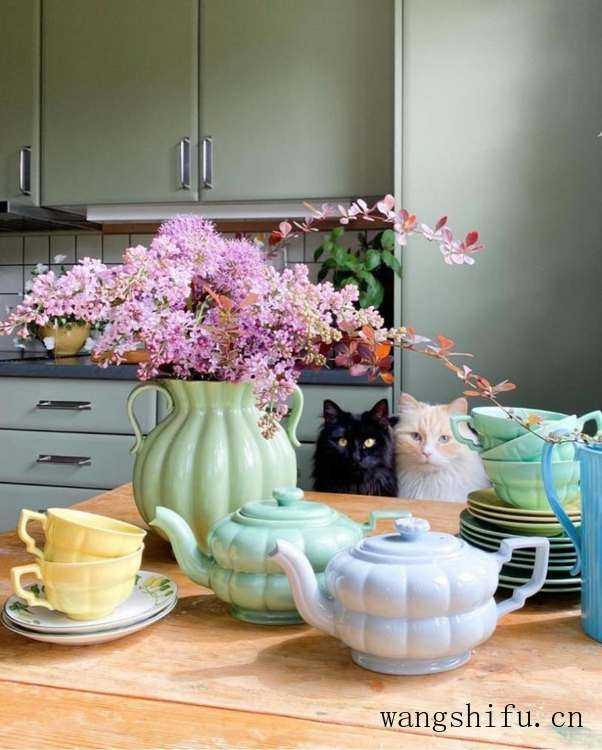 瑞典女主的老房改造，只有旧家具和绿植装饰，网友：真的服了 旧房翻新 第14张 瑞典女主的老房改造，只有旧家具和绿植装饰，网友：真的服了 旧房翻新 粉刷匠第14张