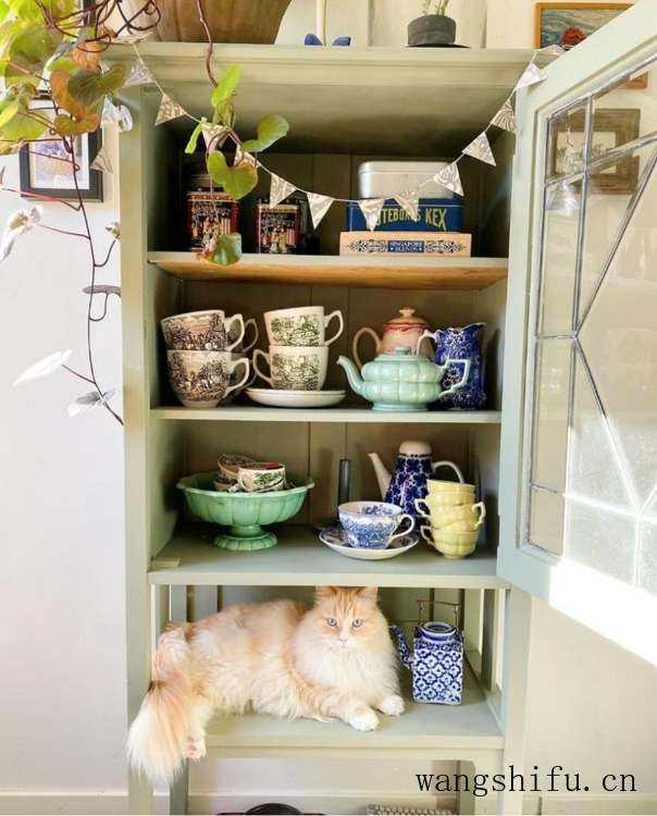 瑞典女主的老房改造，只有旧家具和绿植装饰，网友：真的服了 旧房翻新 第17张 瑞典女主的老房改造，只有旧家具和绿植装饰，网友：真的服了 旧房翻新 粉刷匠第17张