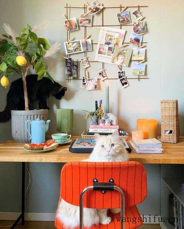 瑞典女主的老房改造，只有旧家具和绿植装饰，网友：真的服了 旧房翻新 第28张 瑞典女主的老房改造，只有旧家具和绿植装饰，网友：真的服了 旧房翻新 粉刷匠第28张