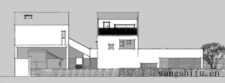 热带鱼金鱼哪个好养吗（热带鱼 金鱼哪个好养）