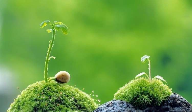 外墙油漆涂料验收与施工全流程 外墙油漆涂料验收与施工全流程