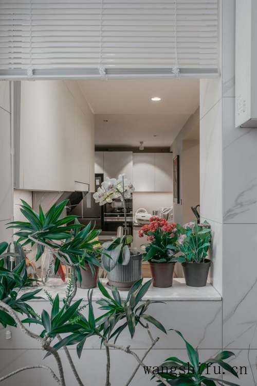 migo和乐扣乐扣哪个好（乐扣乐扣和vanow哪个好）