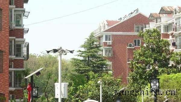 哪个品牌园艺剪刀好（园艺剪推荐）