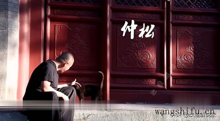 蓝花楹适合哪个省种植（蓝花楹适合哪个省种植呢）