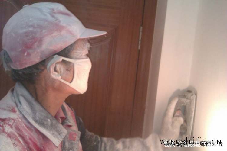 紫弦月（紫弦月怎样种植与养护）