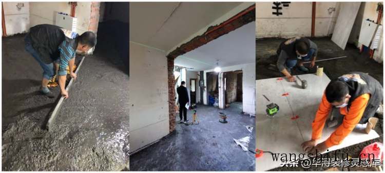 朱砂根（朱砂根的养殖方法和注意事项）