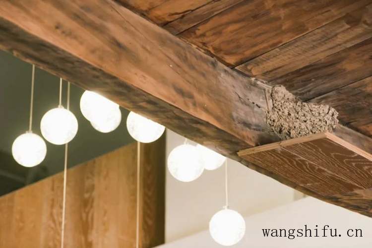 华硕和联想笔记本哪个好（华硕和联想笔记本哪个好一点）