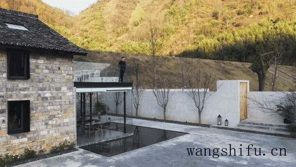 宝草（宝草玉露）