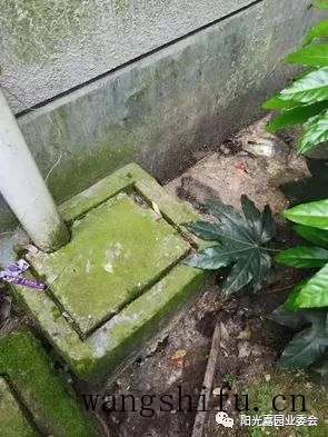 阳光嘉园2022老旧小区改造再出发 旧房翻新 第5张 阳光嘉园2022老旧小区改造再出发 旧房翻新 粉刷匠第5张