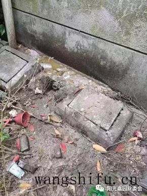 阳光嘉园2022老旧小区改造再出发 旧房翻新 第6张 阳光嘉园2022老旧小区改造再出发 旧房翻新 粉刷匠第6张