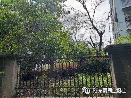 阳光嘉园2022老旧小区改造再出发 旧房翻新 第10张 阳光嘉园2022老旧小区改造再出发 旧房翻新 粉刷匠第10张