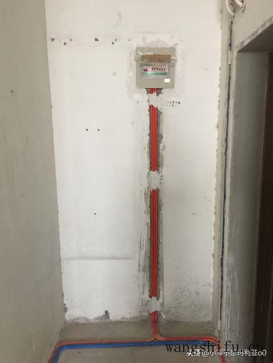 广布红门兰（广布红门兰的图片）