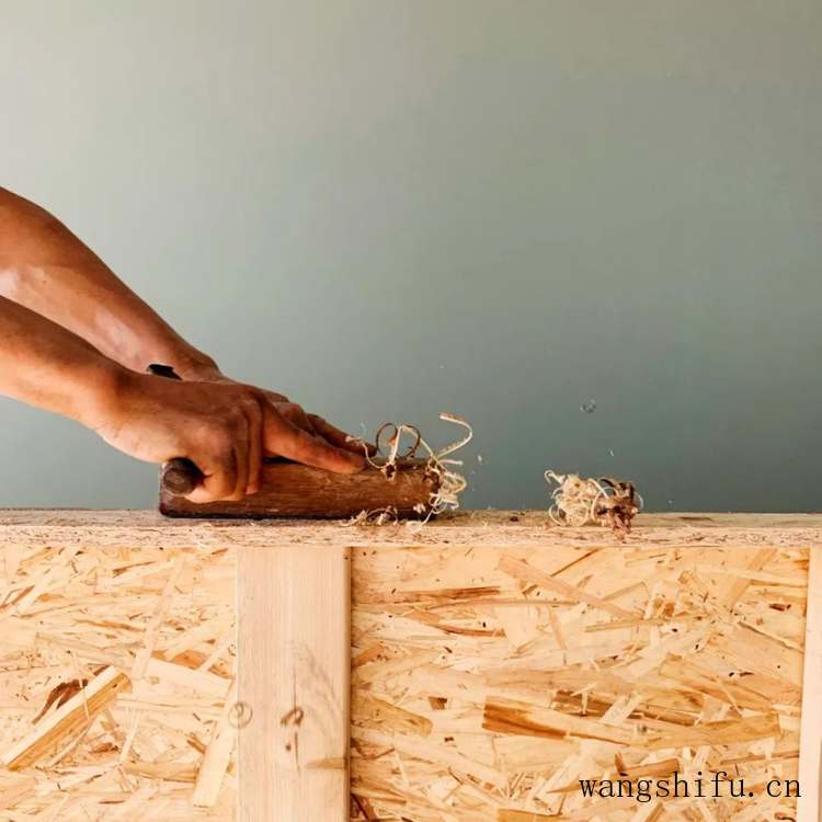 六道木和九道木哪个贵（六道木和九道木哪个贵些）