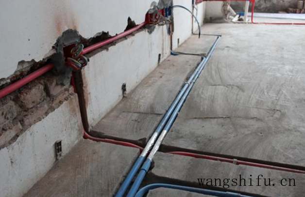 养哪个品种金钱龟好(养哪个品种金钱龟好养) 养哪个品种金钱龟好(养哪个品种金钱龟好养)