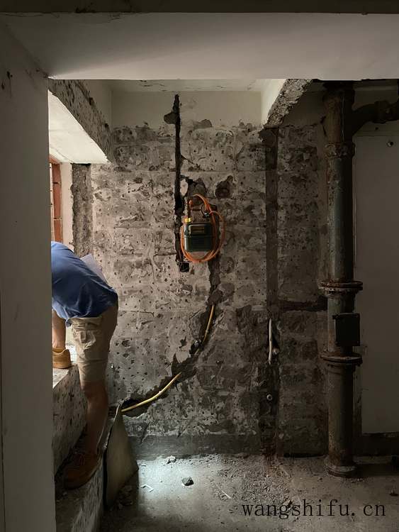 还亮草（还亮草的功效与作用）