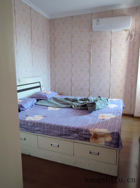 金钻(金钻的养殖方法和注意事项) 金钻(金钻的养殖方法和注意事项)