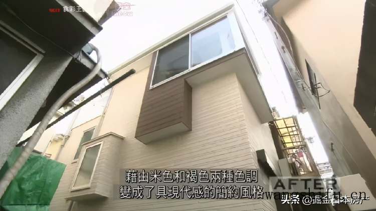 文心兰（文心兰的养殖方法和注意事项）