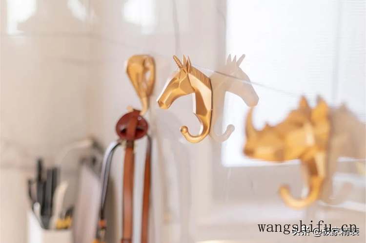 月宫殿（月宫殿仙人球）