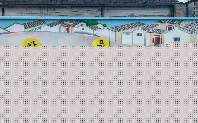 多花野牡丹（多花野牡丹图片）