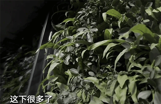 76㎡空置老宅，1层改2层花77万6翻新，一楼开店二楼休息 旧房翻新 第12张 76㎡空置老宅，1层改2层花77万6翻新，一楼开店二楼休息 旧房翻新 粉刷匠第12张