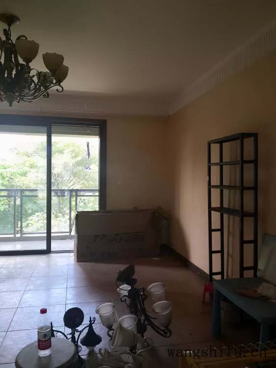 郁金香是哪个国家的国花（郁金香是哪个国家的国花呢）