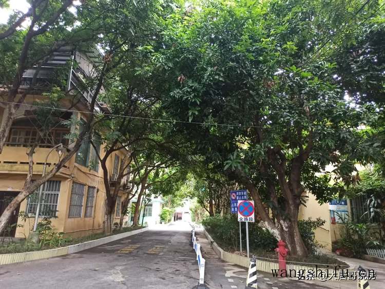 单个书柜(单个书柜尺寸) 单个书柜(单个书柜尺寸)