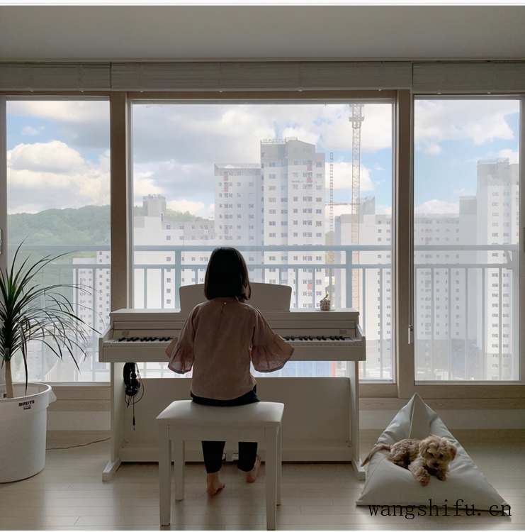 乳胶床垫到底哪个国家的好