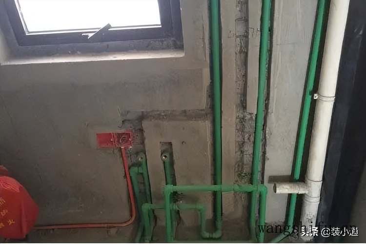 彩虹果冻（彩虹果冻月季）