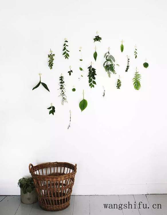 10个墙面装饰创意，为您的家带来脱胎换骨的改变 旧房翻新 第13张 10个墙面装饰创意，为您的家带来脱胎换骨的改变 旧房翻新 粉刷匠第13张