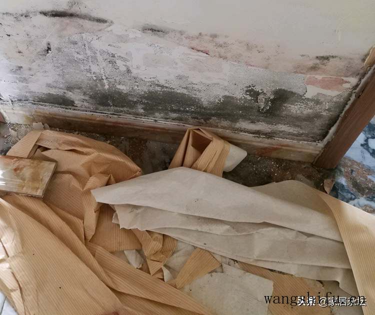 一楼房子潮湿,别着急装修,有3种方法要提前了解 旧房翻新 第1张 一楼房子潮湿,别着急装修,有3种方法要提前了解 旧房翻新 粉刷匠第1张 一楼房子潮湿,别着急装修,有3种方法要提前了解 旧房翻新 第1张 一楼房子潮湿,别着急装修,有3种方法要提前了解 旧房翻新 粉刷匠第1张