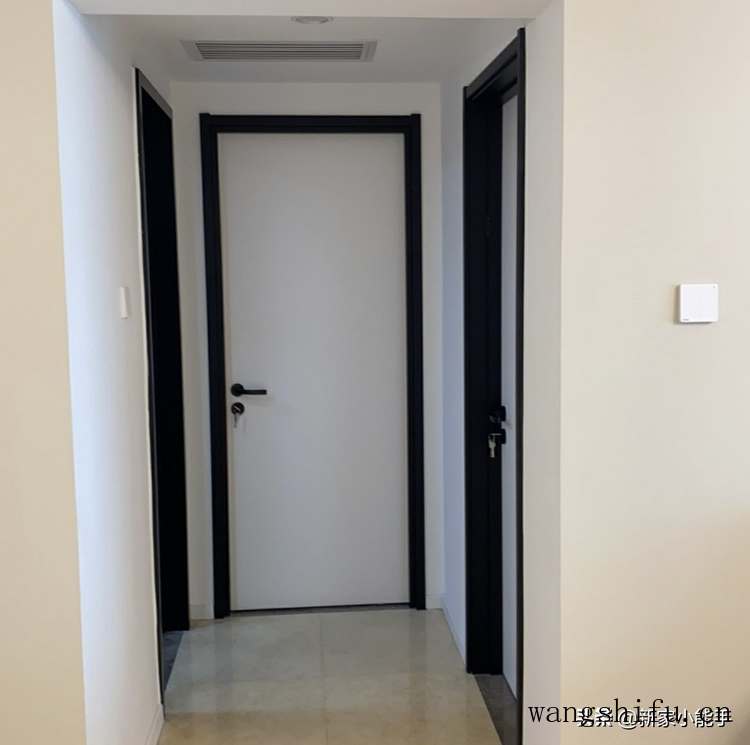 美叶凤尾蕉（美叶凤尾蕉的寓意）