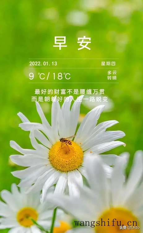 1.13周四早安，认真工作和努力生活，绝对不是为了做给别人看 旧房翻新 第3张 1.13周四早安，认真工作和努力生活，绝对不是为了做给别人看 旧房翻新 粉刷匠第3张