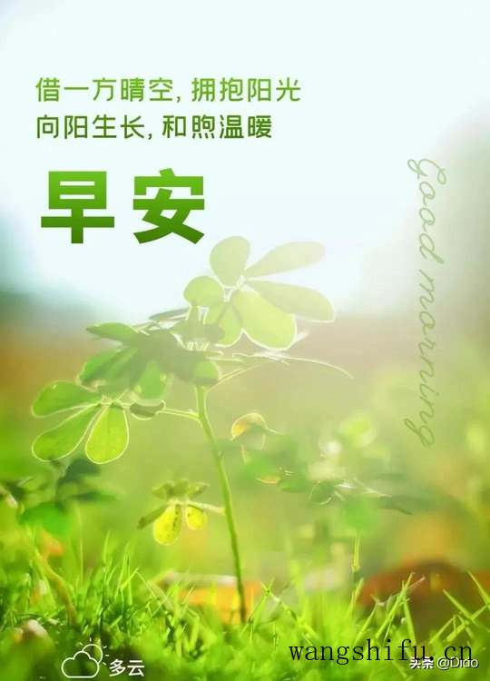 1.13周四早安，认真工作和努力生活，绝对不是为了做给别人看 旧房翻新 第4张 1.13周四早安，认真工作和努力生活，绝对不是为了做给别人看 旧房翻新 粉刷匠第4张