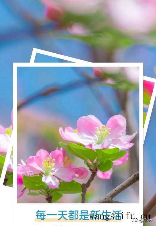 3.14周一早安,生命很短,愿你不必行色匆匆,只需快乐着 旧房翻新 第2张 3.14周一早安,生命很短,愿你不必行色匆匆,只需快乐着 旧房翻新 粉刷匠第2张 3.14周一早安,生命很短,愿你不必行色匆匆,只需快乐着 旧房翻新 第2张 3.14周一早安,生命很短,愿你不必行色匆匆,只需快乐着 旧房翻新 粉刷匠第2张