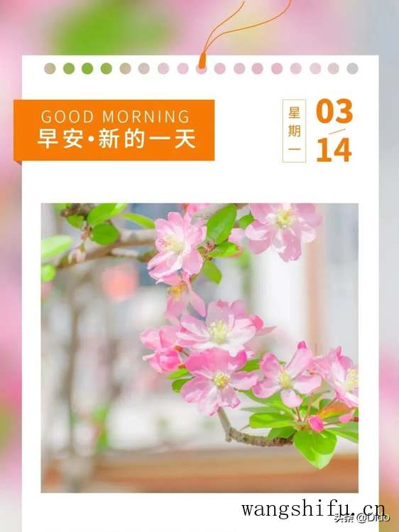 3.14周一早安,生命很短,愿你不必行色匆匆,只需快乐着 旧房翻新 第3张 3.14周一早安,生命很短,愿你不必行色匆匆,只需快乐着 旧房翻新 粉刷匠第3张 3.14周一早安,生命很短,愿你不必行色匆匆,只需快乐着 旧房翻新 第3张 3.14周一早安,生命很短,愿你不必行色匆匆,只需快乐着 旧房翻新 粉刷匠第3张