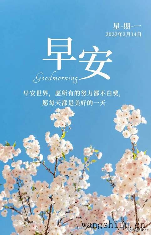 3.14周一早安,生命很短,愿你不必行色匆匆,只需快乐着 旧房翻新 第4张 3.14周一早安,生命很短,愿你不必行色匆匆,只需快乐着 旧房翻新 粉刷匠第4张 3.14周一早安,生命很短,愿你不必行色匆匆,只需快乐着 旧房翻新 第4张 3.14周一早安,生命很短,愿你不必行色匆匆,只需快乐着 旧房翻新 粉刷匠第4张
