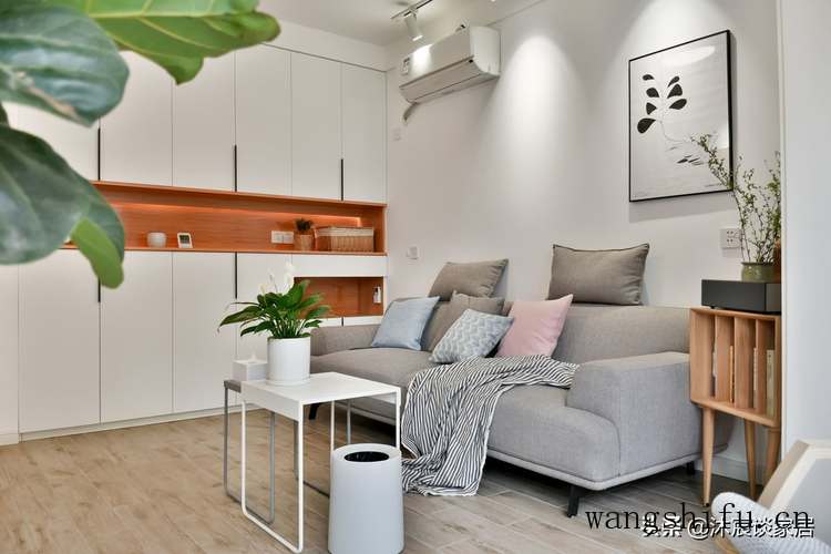 姬胧月（姬胧月是冬型种还是夏型种）